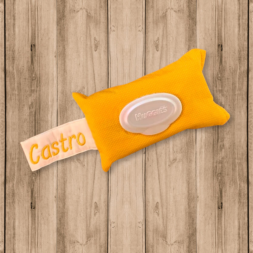 Wipe Cover Case